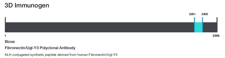 Fibronectin/Ugl-Y3 Polyclonal Antibody
