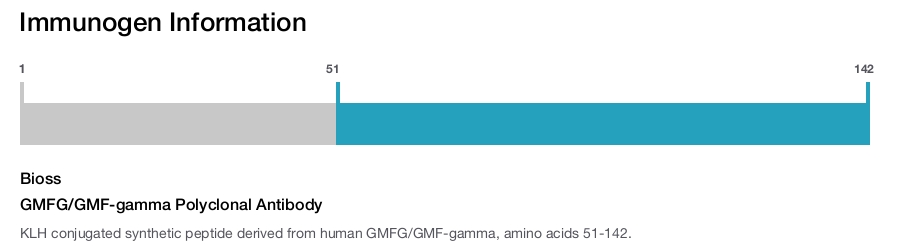 GMFG/GMF-gamma Polyclonal Antibody