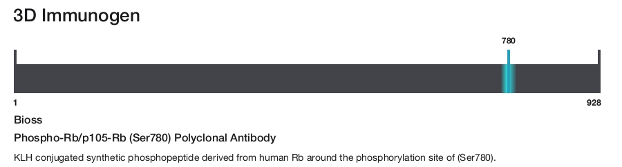 Phospho-Rb/p105-Rb (Ser780) Polyclonal Antibody