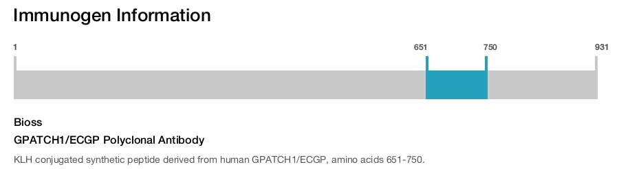 GPATCH1/ECGP Polyclonal Antibody