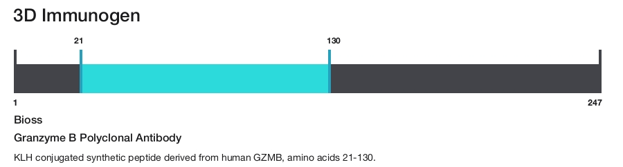 Granzyme B Polyclonal Antibody