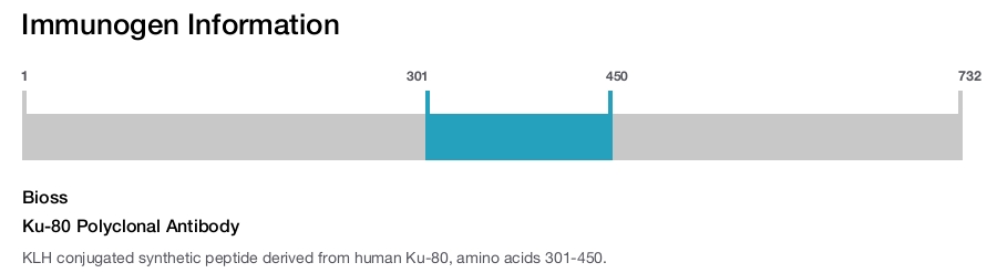 Ku-80 Polyclonal Antibody