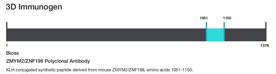 ZMYM2/ZNF198 Polyclonal Antibody
