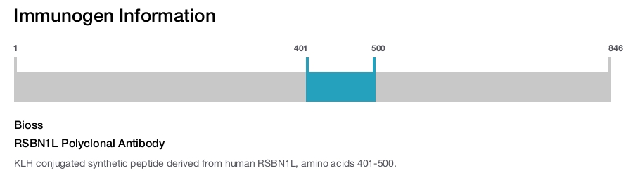 RSBN1L Polyclonal Antibody