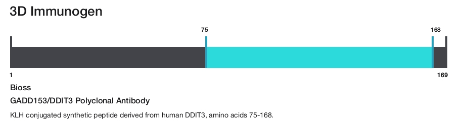 GADD153/DDIT3 Polyclonal Antibody