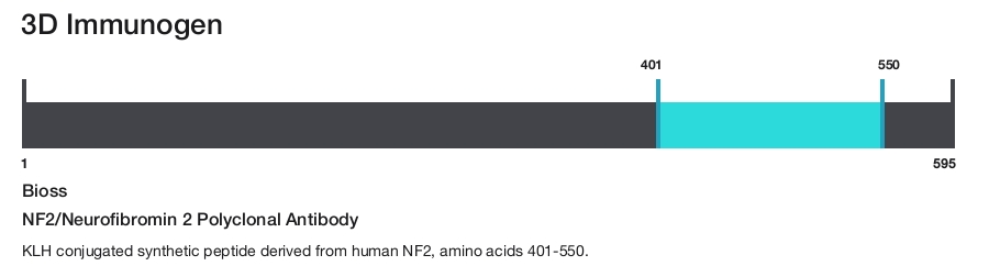 NF2/Neurofibromin 2 Polyclonal Antibody