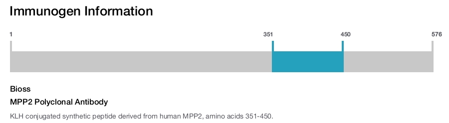 MPP2 Polyclonal Antibody