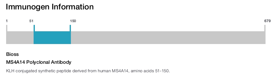 MS4A14 Polyclonal Antibody