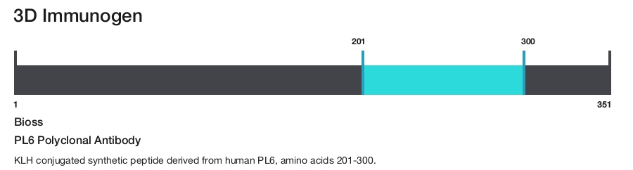 PL6 Polyclonal Antibody