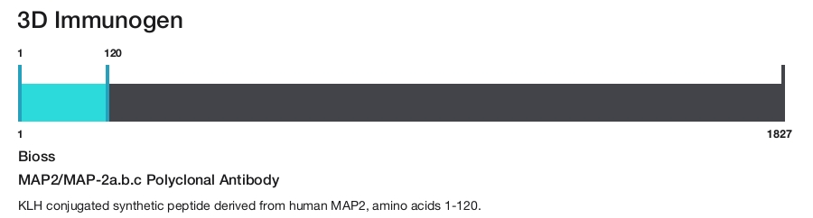 MAP2/MAP-2a.b.c Polyclonal Antibody