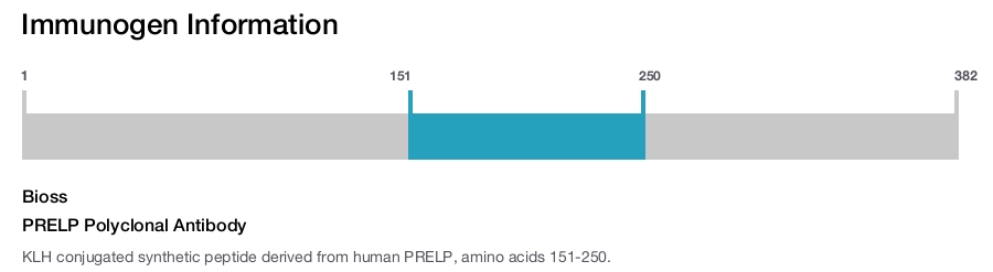 PRELP Polyclonal Antibody