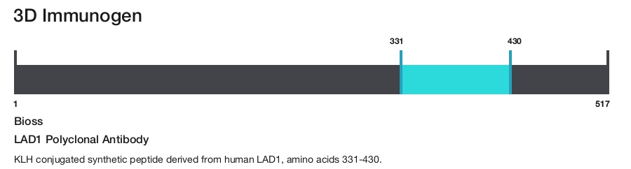 LAD1 Polyclonal Antibody