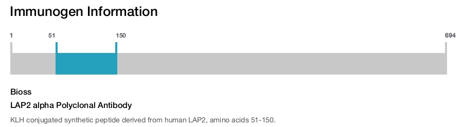 LAP2 alpha Polyclonal Antibody