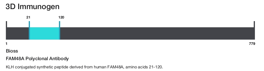 FAM48A Polyclonal Antibody