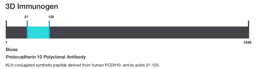 Protocadherin 10 Polyclonal Antibody