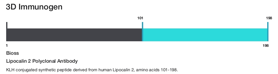 Lipocalin 2 Polyclonal Antibody