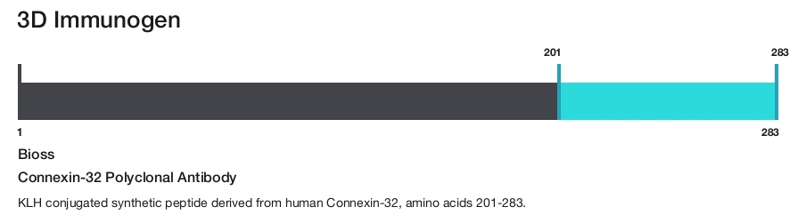 Connexin-32 Polyclonal Antibody