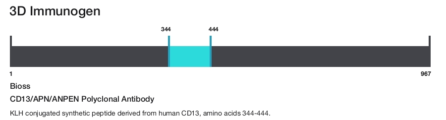 CD13/APN/ANPEN Polyclonal Antibody