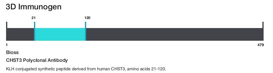 CHST3 Polyclonal Antibody