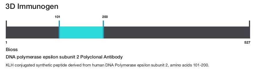 DNA polymerase epsilon subunit 2 Polyclonal Antibody