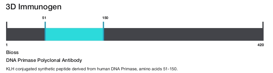 DNA Primase Polyclonal Antibody