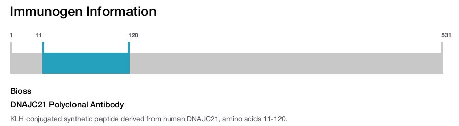 DNAJC21 Polyclonal Antibody