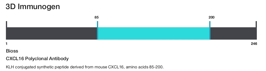 CXCL16 Polyclonal Antibody