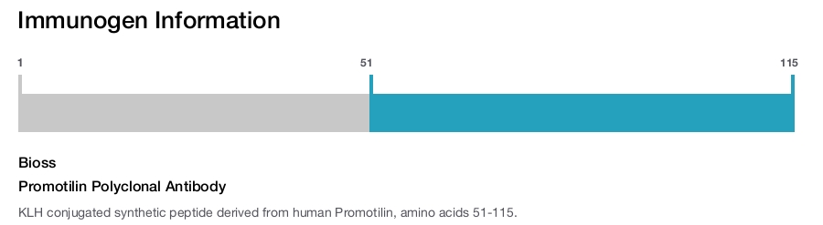 Promotilin Polyclonal Antibody