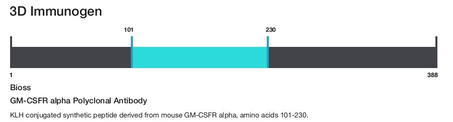 GM-CSFR alpha Polyclonal Antibody