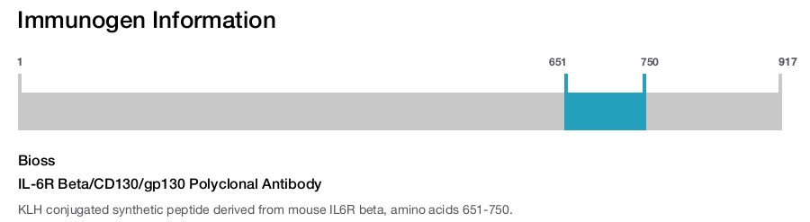 IL-6R Beta/CD130/gp130 Polyclonal Antibody