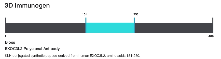 EXOC3L2 Polyclonal Antibody