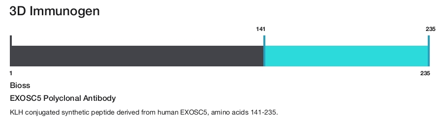 EXOSC5 Polyclonal Antibody