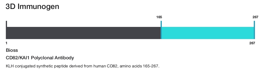 CD82/KAI1 Polyclonal Antibody