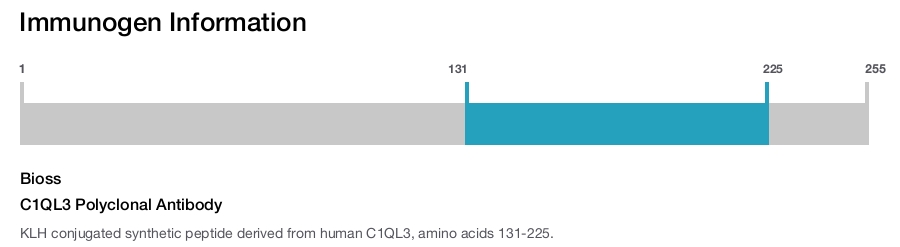 C1QL3 Polyclonal Antibody