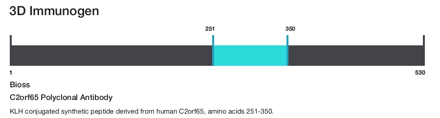 C2orf65 Polyclonal Antibody