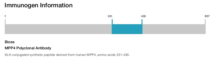 MPP4 Polyclonal Antibody