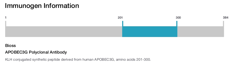 APOBEC3G Polyclonal Antibody