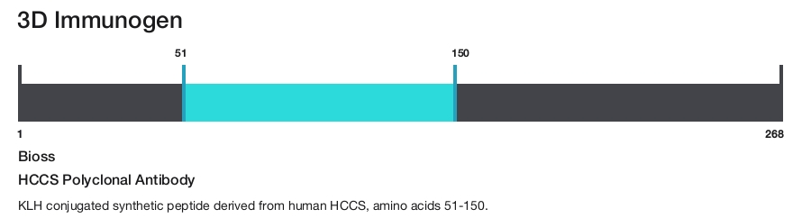 HCCS Polyclonal Antibody