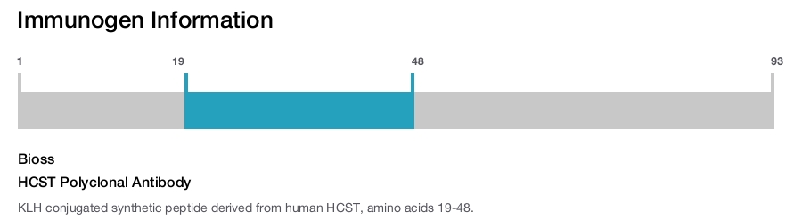 HCST Polyclonal Antibody