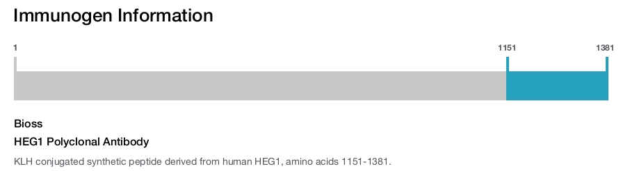 HEG1 Polyclonal Antibody