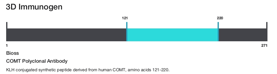 COMT Polyclonal Antibody