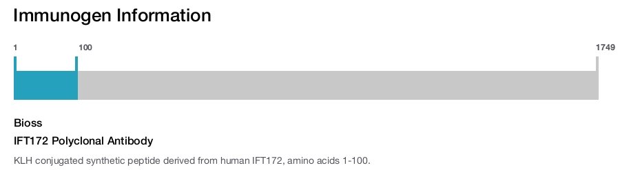 IFT172 Polyclonal Antibody