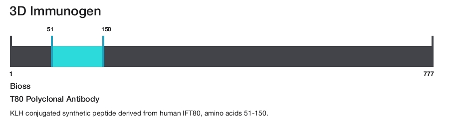 T80 Polyclonal Antibody
