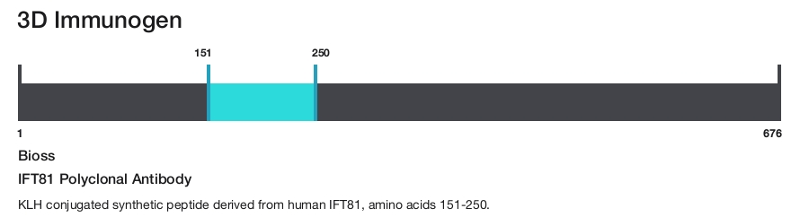 IFT81 Polyclonal Antibody