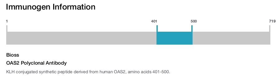 OAS2 Polyclonal Antibody