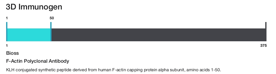 F-Actin Polyclonal Antibody