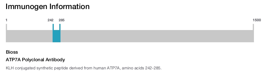 ATP7A Polyclonal Antibody