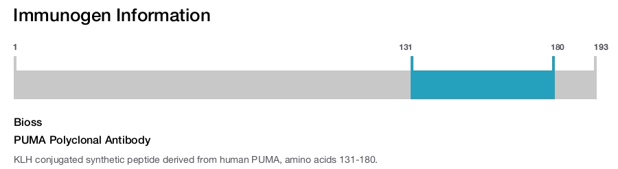 PUMA Polyclonal Antibody