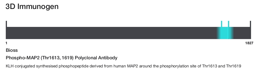 Phospho-MAP2 (Thr1613, 1619) Polyclonal Antibody