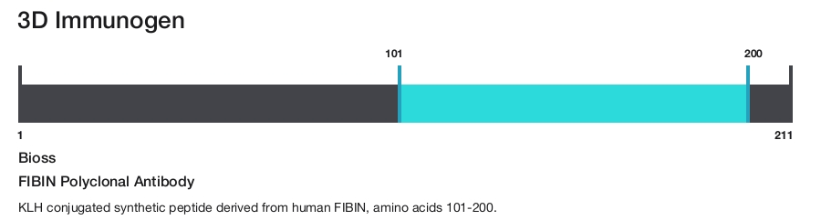 FIBIN Polyclonal Antibody